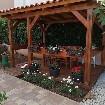 Ninić *
